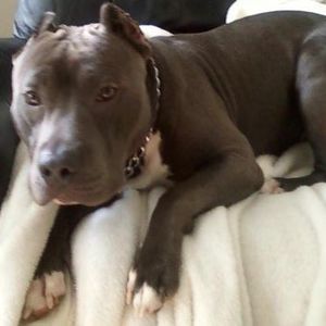 Meet your Posher, Monica